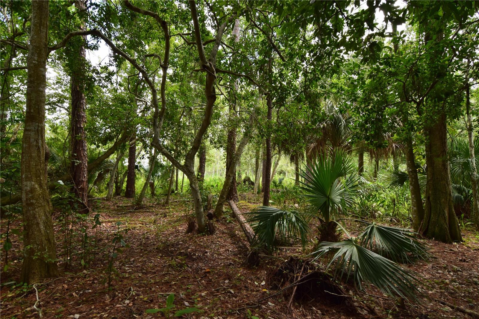 OFF PALM SPRINGS & BEACH, LONGWOOD, FL, 32750