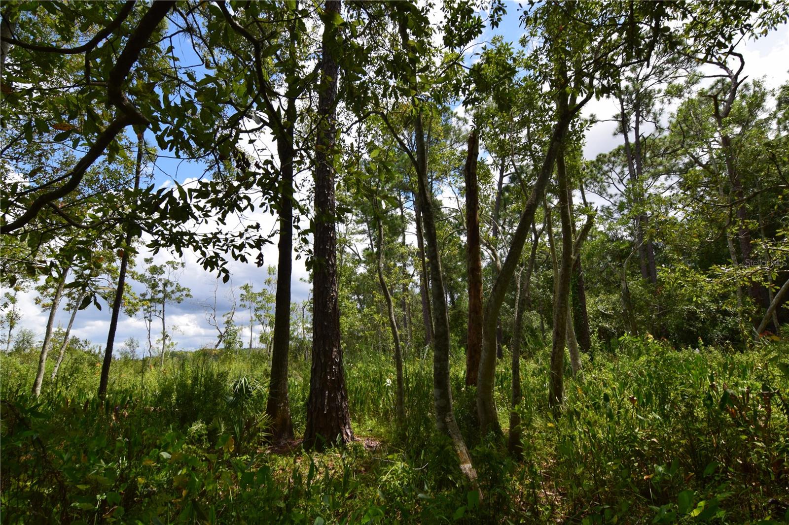 OFF PALM SPRINGS & BEACH, LONGWOOD, FL, 32750