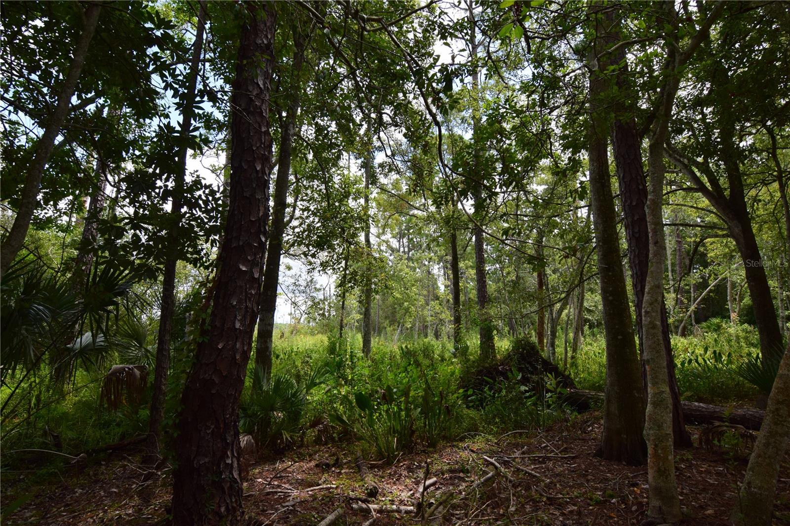 OFF PALM SPRINGS & BEACH, LONGWOOD, FL, 32750