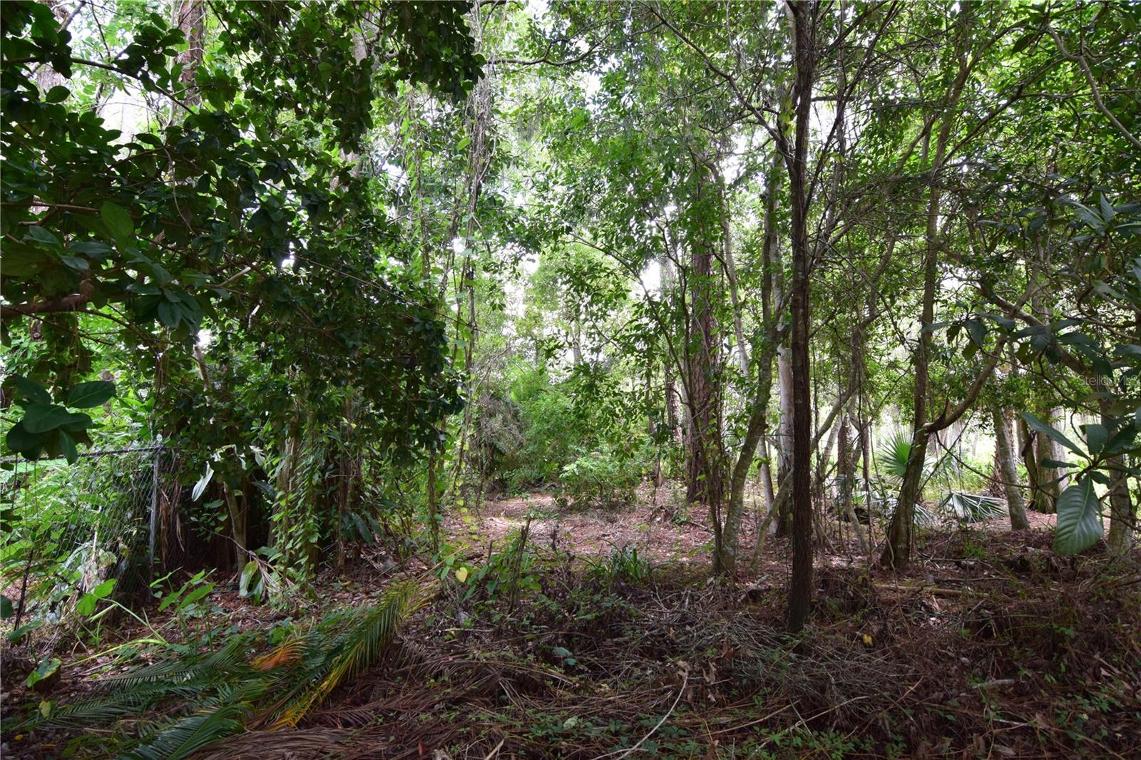 OFF PALM SPRINGS & BEACH, LONGWOOD, FL, 32750