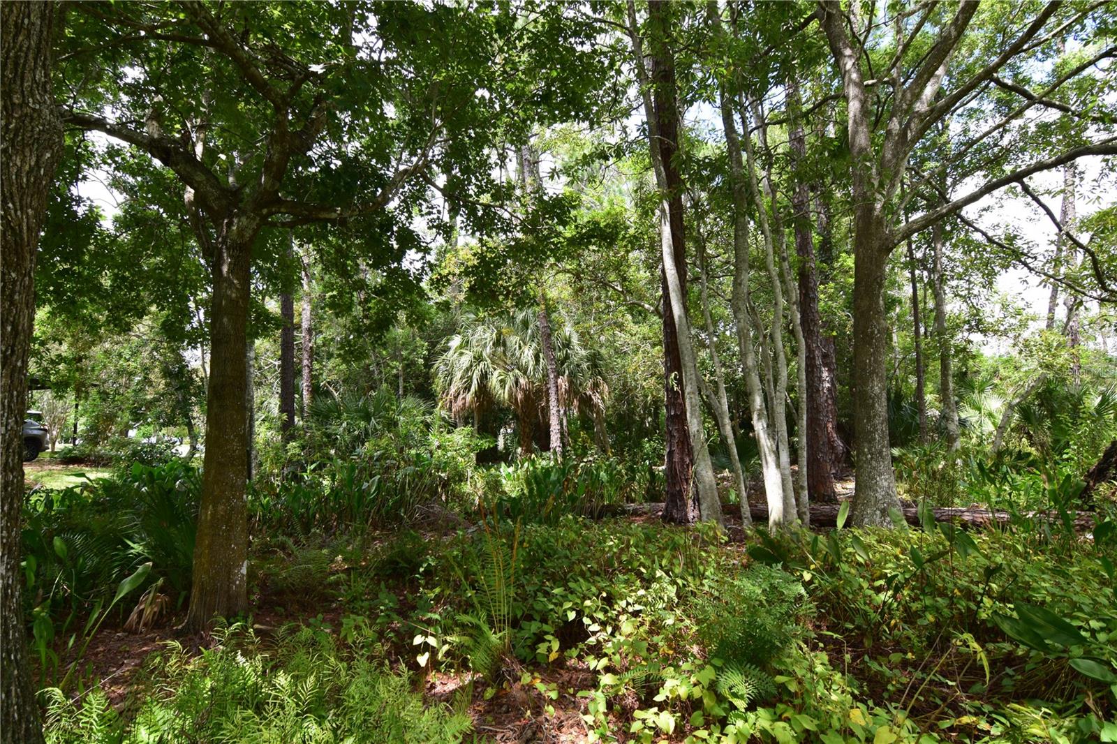 OFF PALM SPRINGS & BEACH, LONGWOOD, FL, 32750