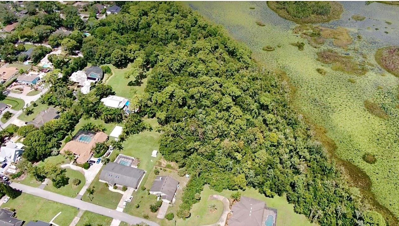 OFF PALM SPRINGS & BEACH, LONGWOOD, FL, 32750