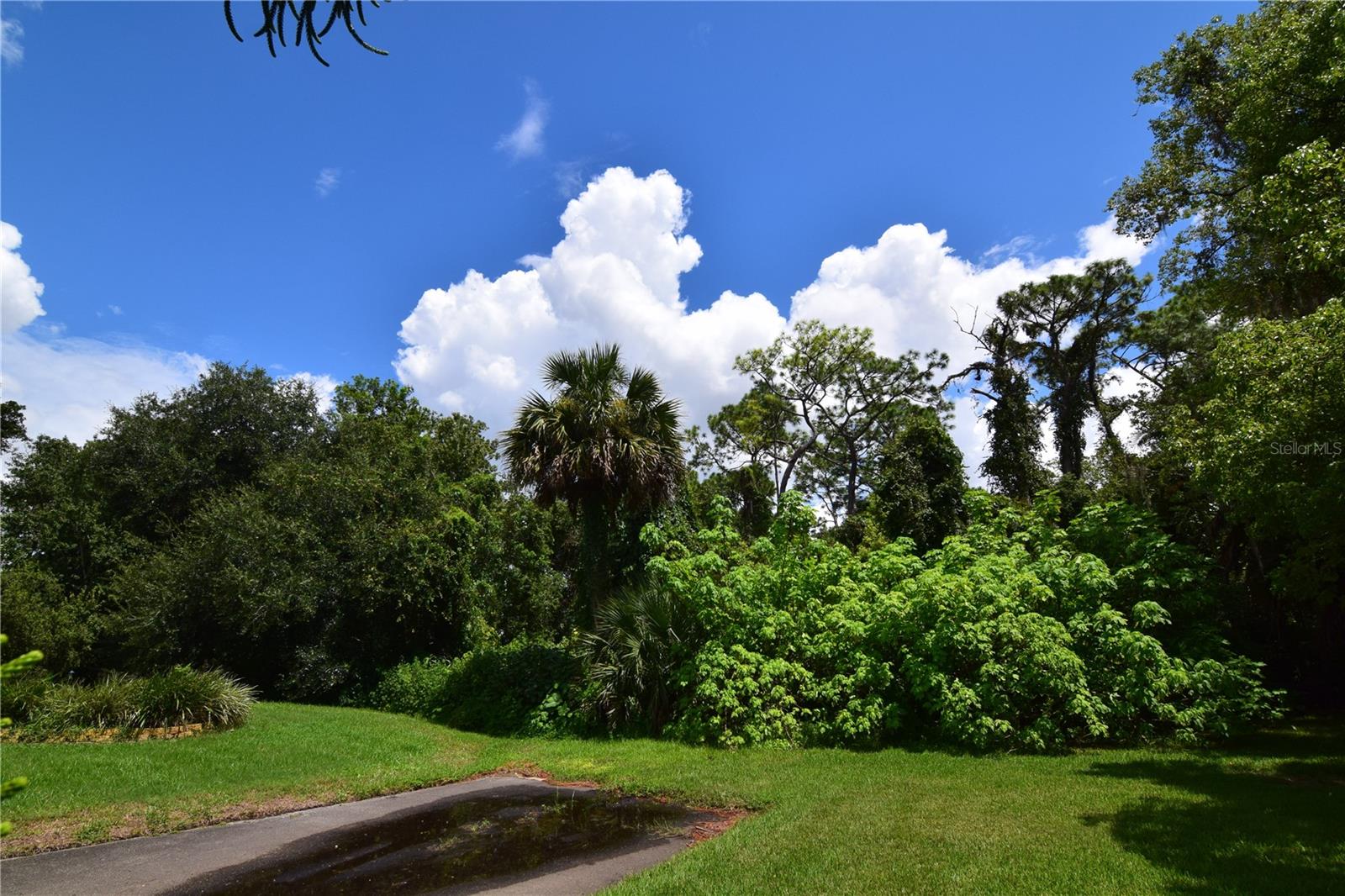 OFF PALM SPRINGS & BEACH, LONGWOOD, FL, 32750