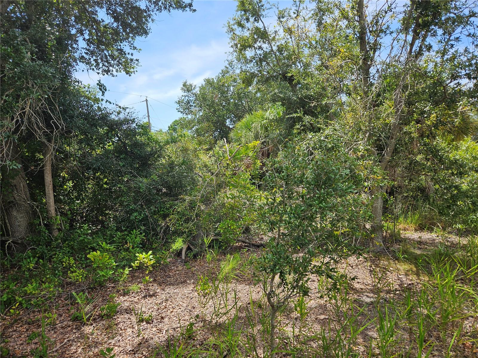 6303 HERA ST, ENGLEWOOD, FL, 34224