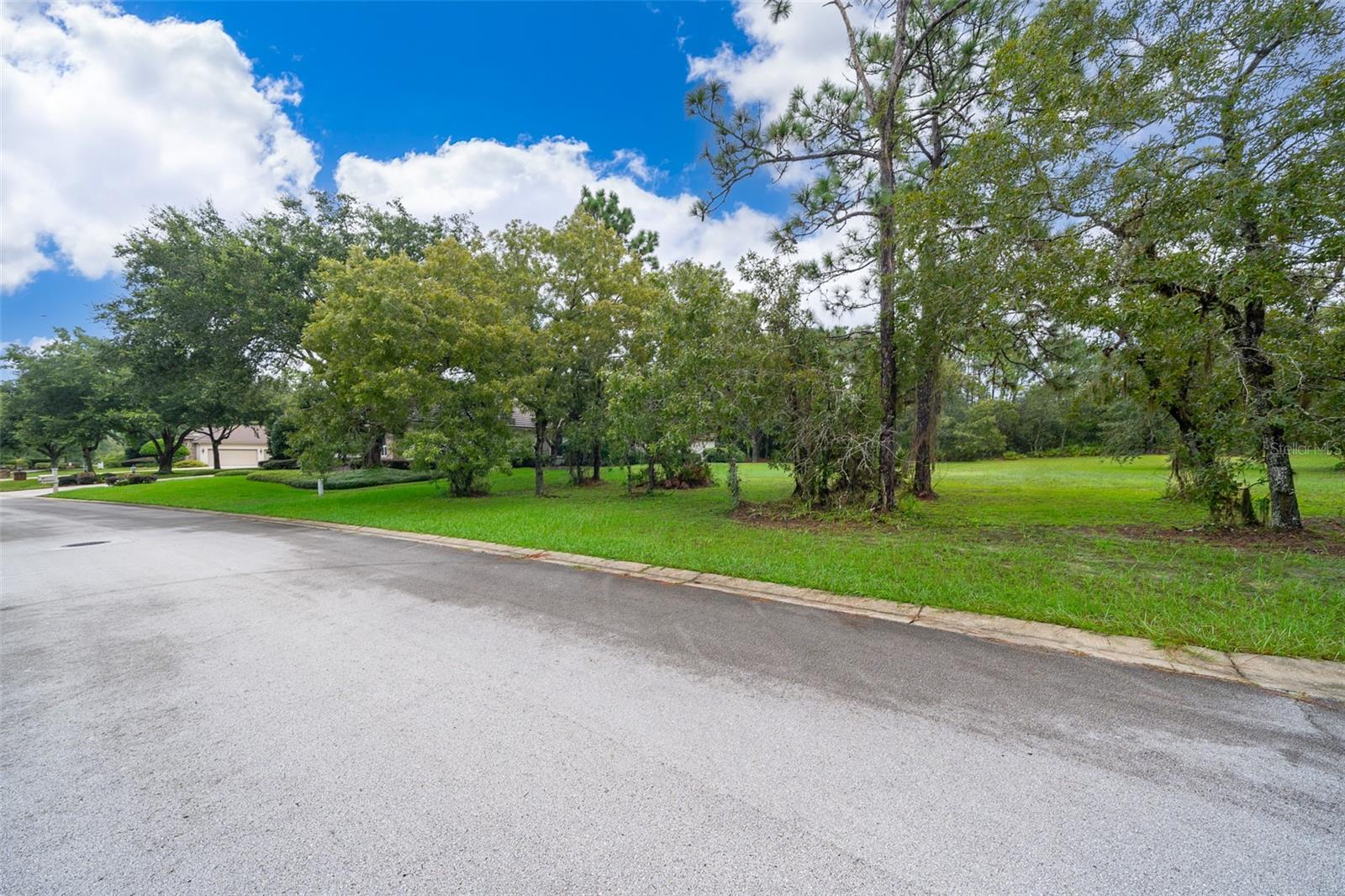 3467 N SPYGLASS VILLAGE PATH, LECANTO, FL, 34461