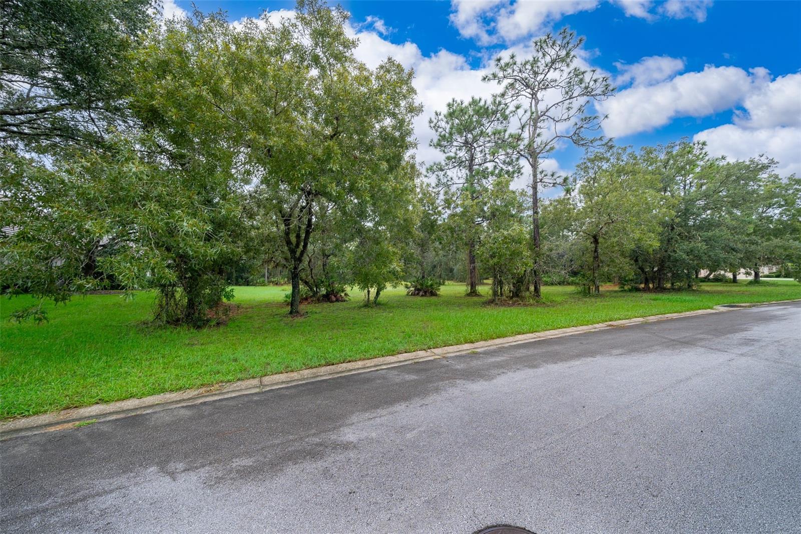 3467 N SPYGLASS VILLAGE PATH, LECANTO, FL, 34461