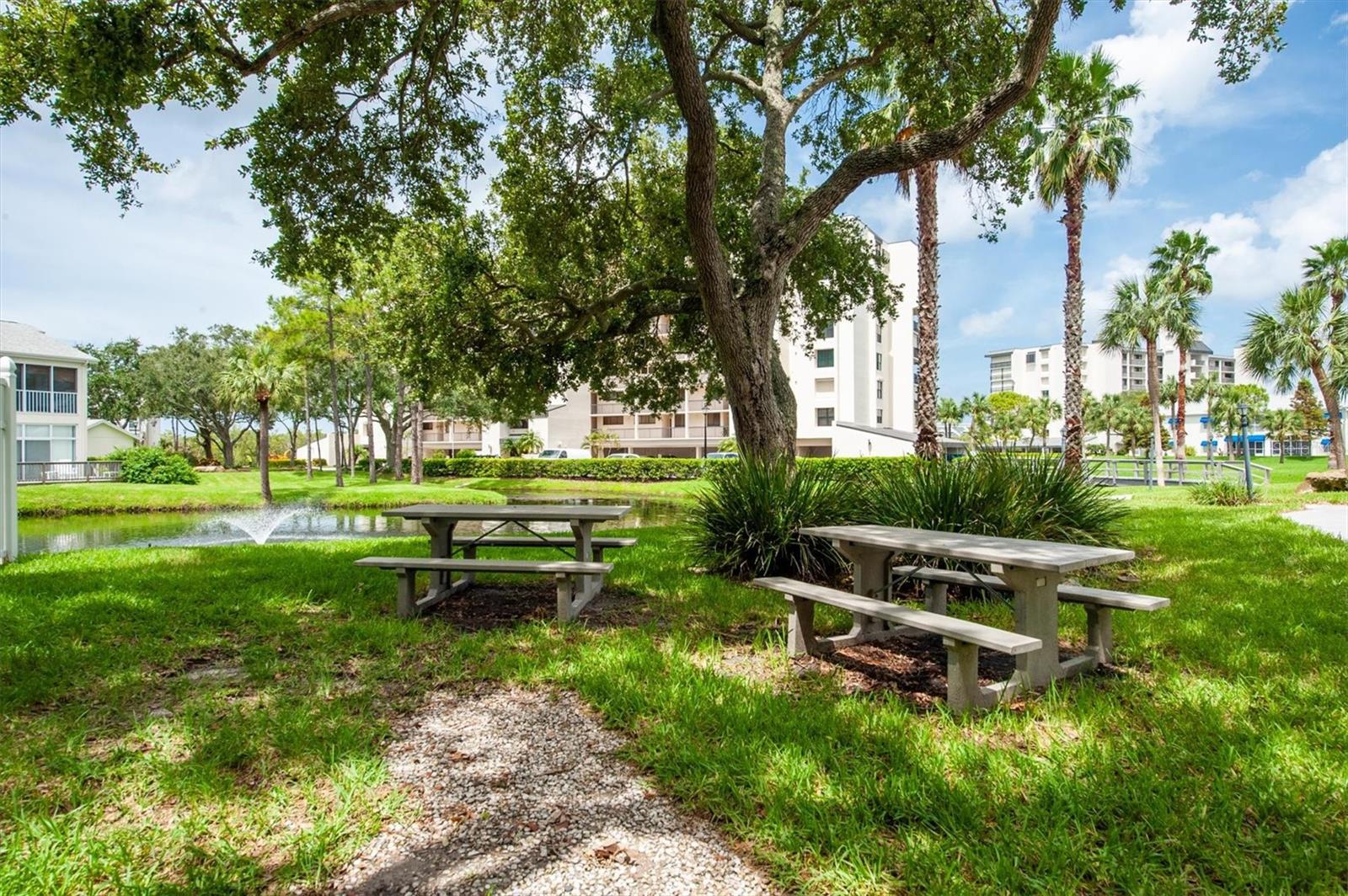11590 SHIPWATCH DR #548, LARGO, FL, 33774