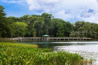 110 N TREMAIN ST #202, MOUNT DORA, FL, 32757