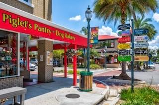 110 N TREMAIN ST #202, MOUNT DORA, FL, 32757