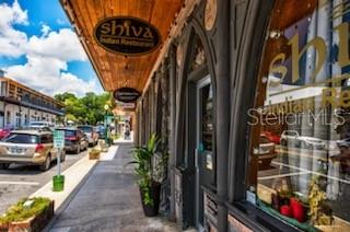 110 N TREMAIN ST #202, MOUNT DORA, FL, 32757