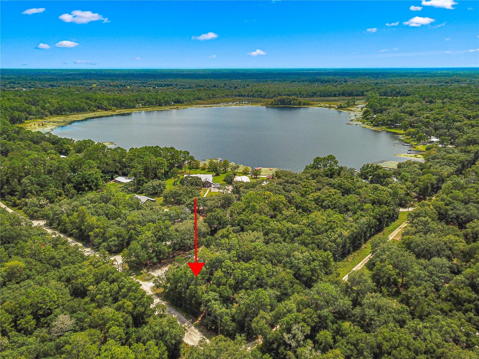 11220 NE 234TH PLACE RD, FORT MC COY, FL, 32134