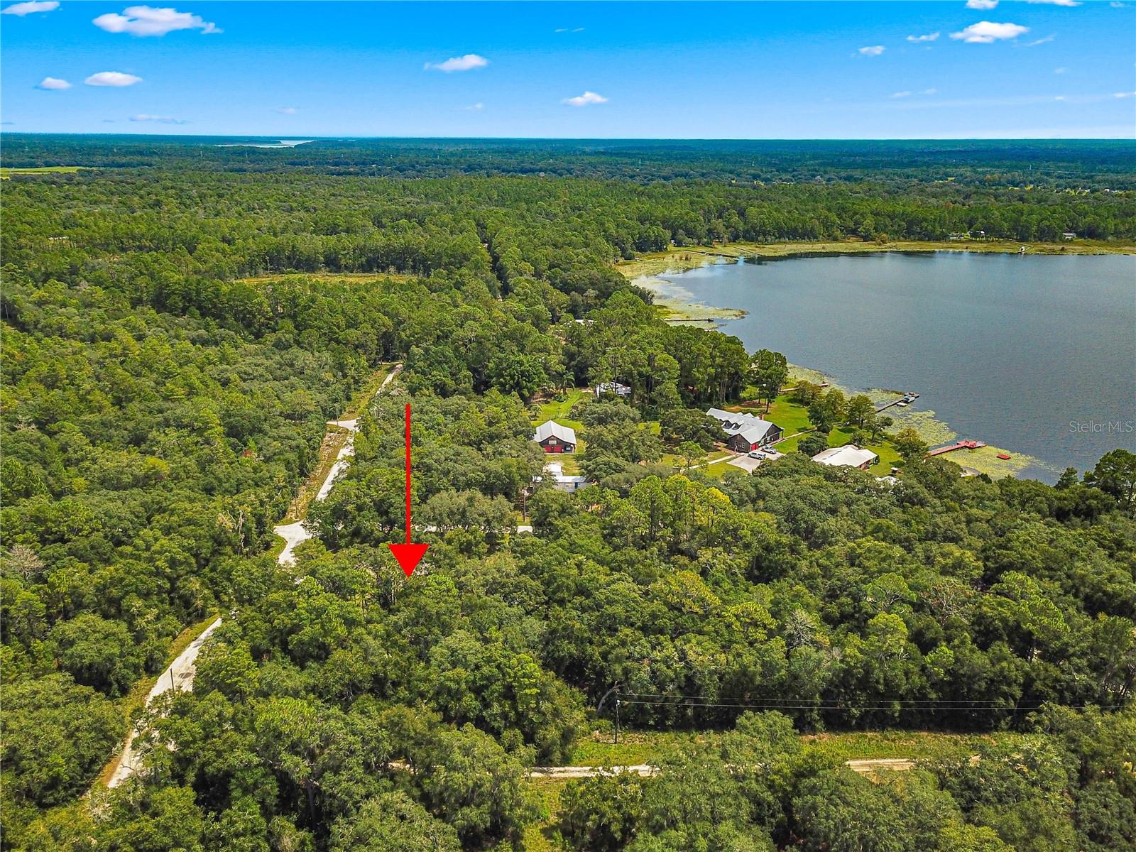 11220 NE 234TH PLACE RD, FORT MC COY, FL, 32134