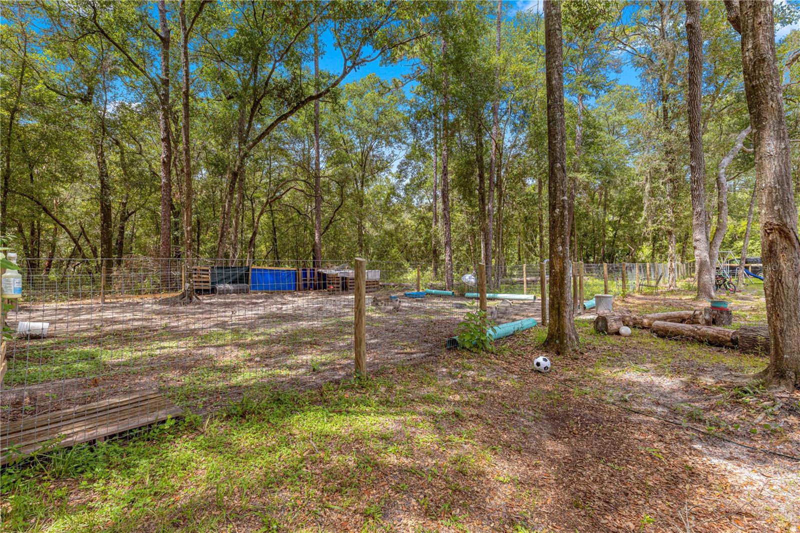 11220 NE 234TH PLACE RD, FORT MC COY, FL, 32134