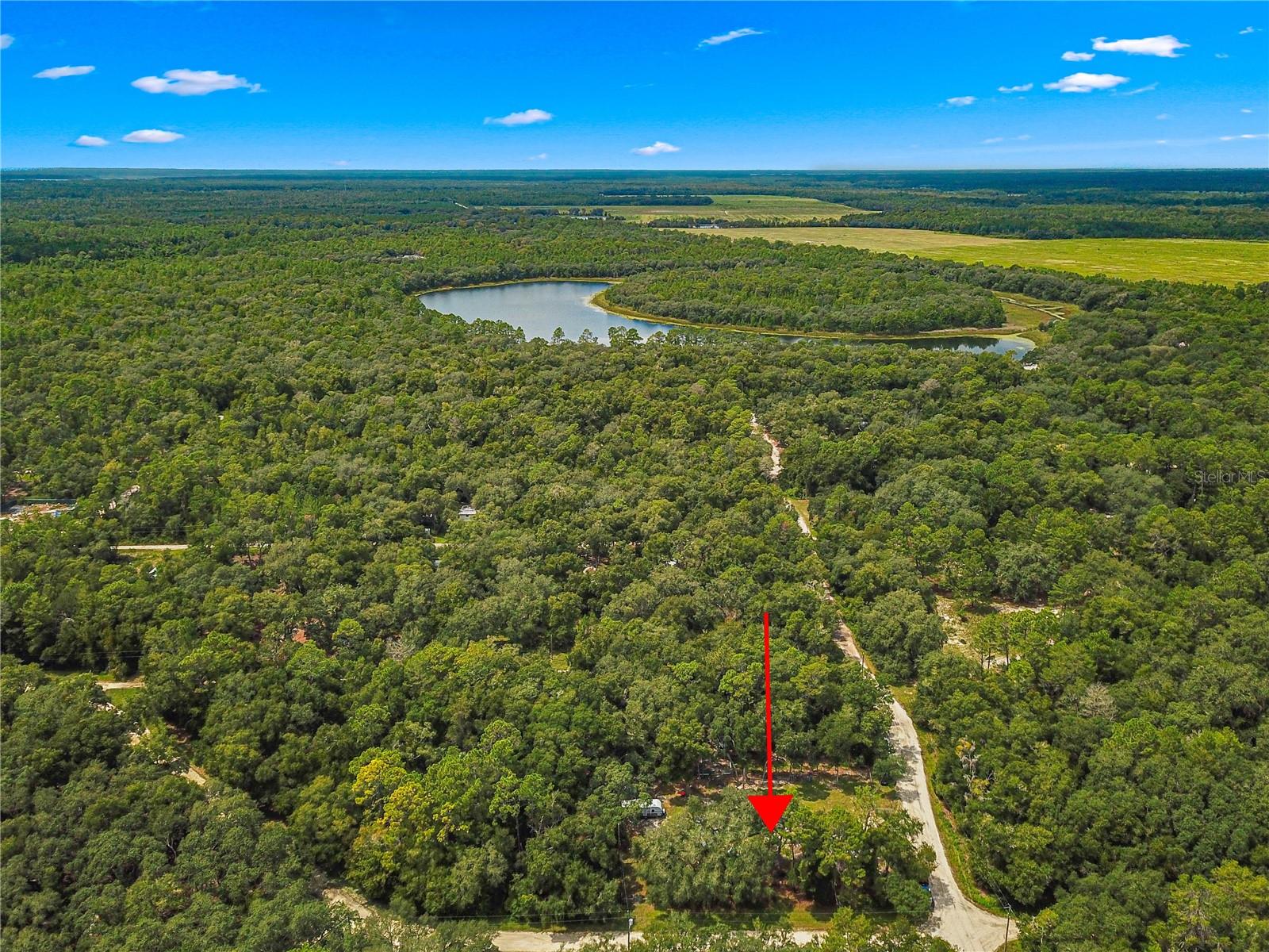 11220 NE 234TH PLACE RD, FORT MC COY, FL, 32134