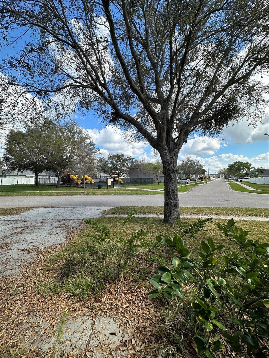 3201 DUNSTABLE DR, LAND O LAKES, FL, 34638