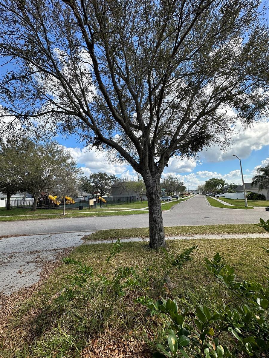 3201 DUNSTABLE DR, LAND O LAKES, FL, 34638