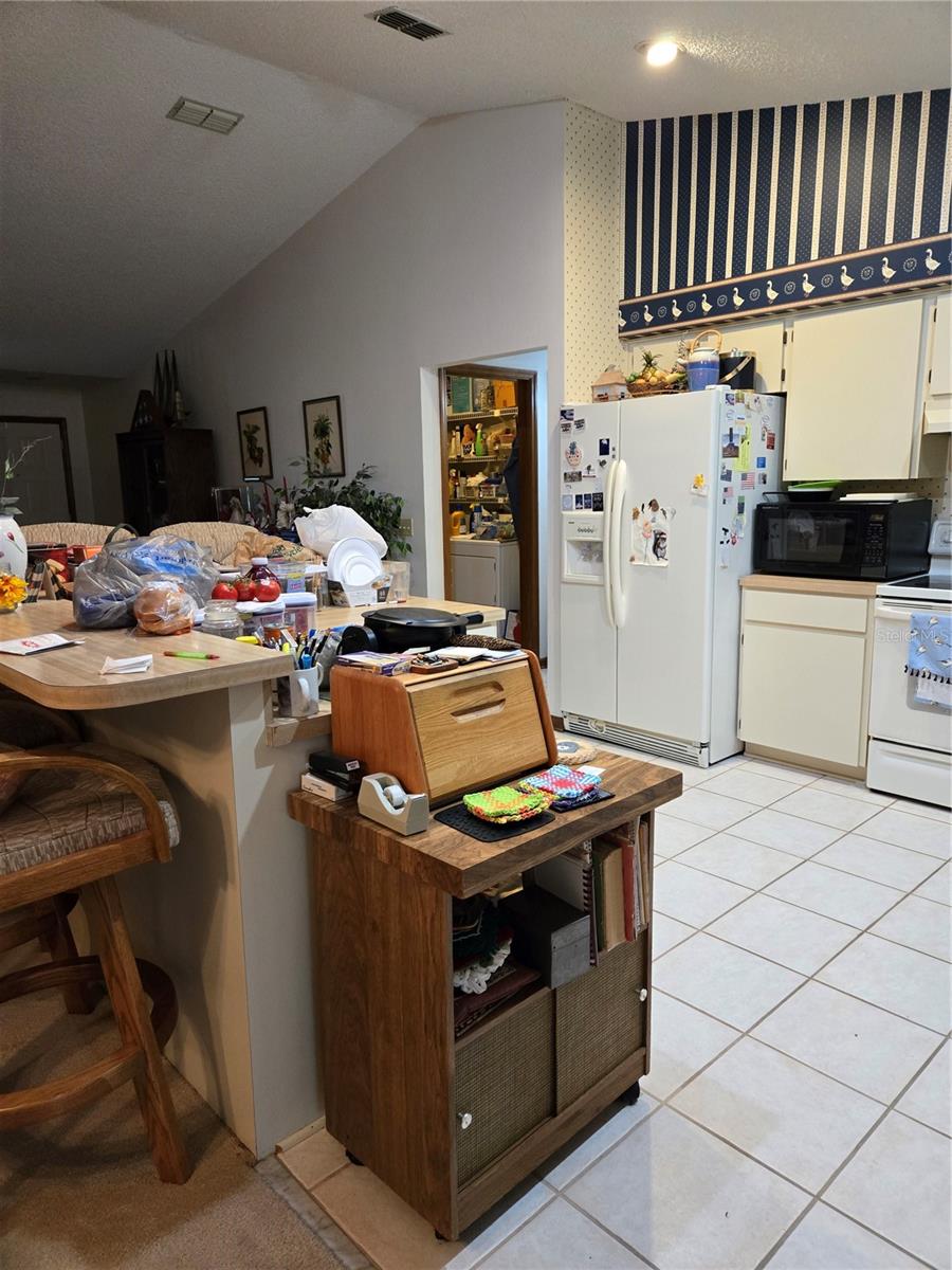 1405 RIDGEGREEN LOOP N, LAKELAND, FL, 33809