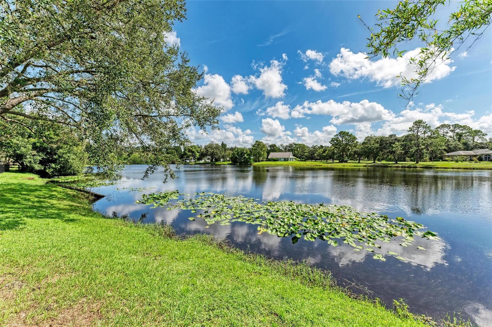 907 136TH ST E, BRADENTON, FL, 34212