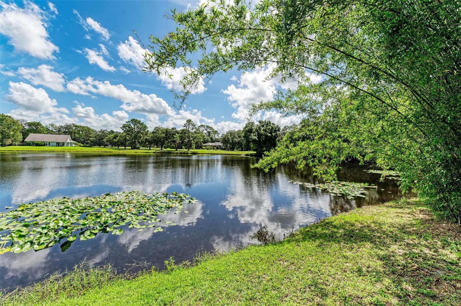 907 136TH ST E, BRADENTON, FL, 34212