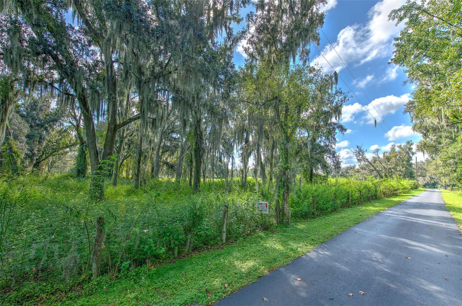 711 E KEYSVILLE RD, PLANT CITY, FL, 33567