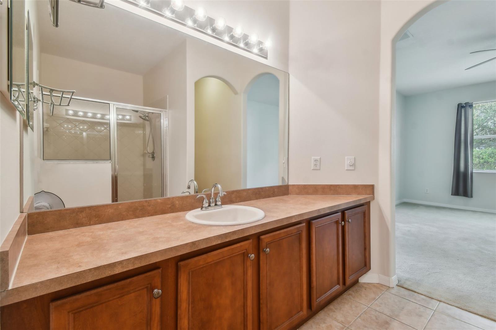 6919 SURREY HILL PL, APOLLO BEACH, FL, 33572