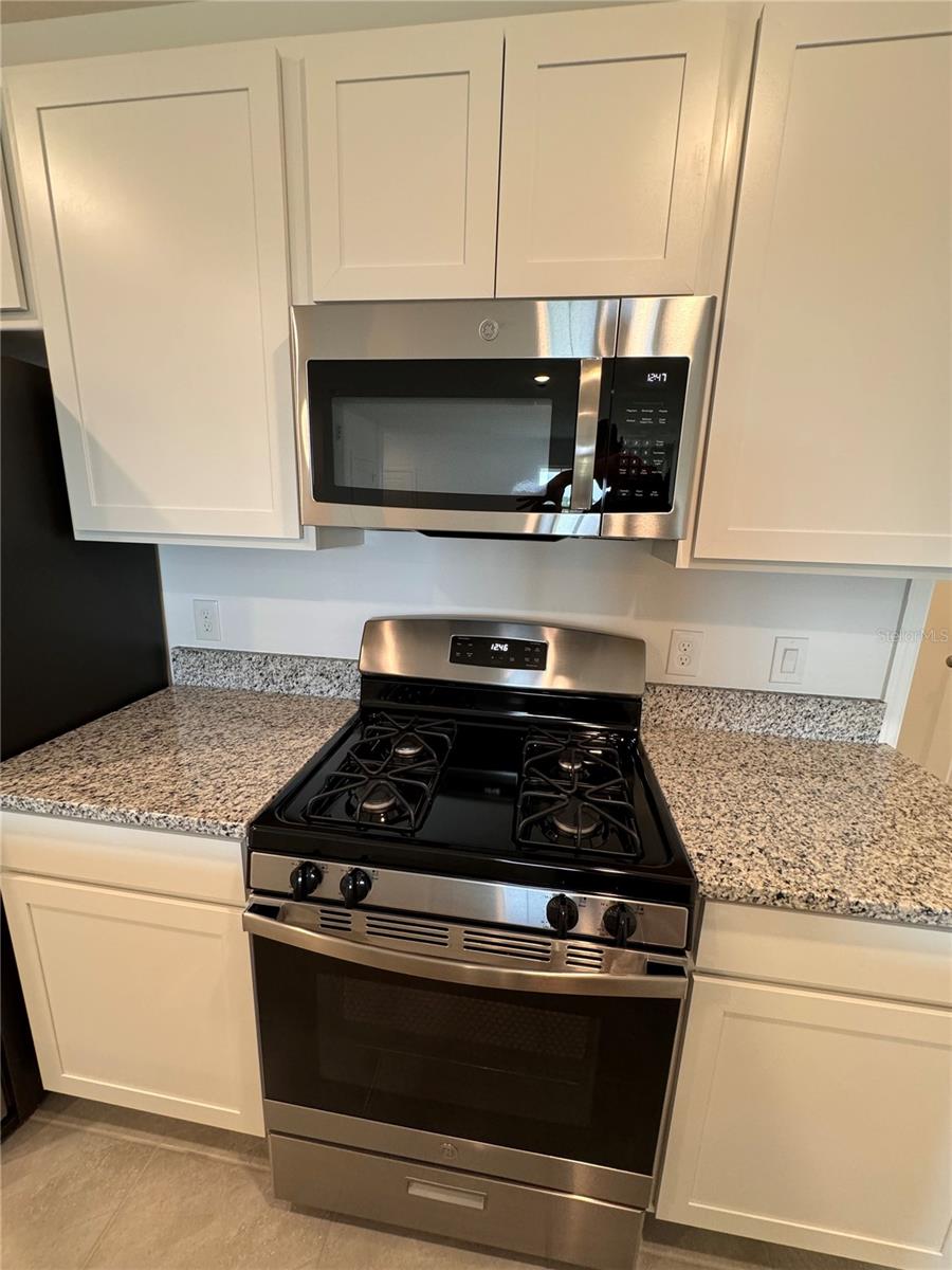 15104 WINDFLOWER ALY, WINTER GARDEN, FL, 34787