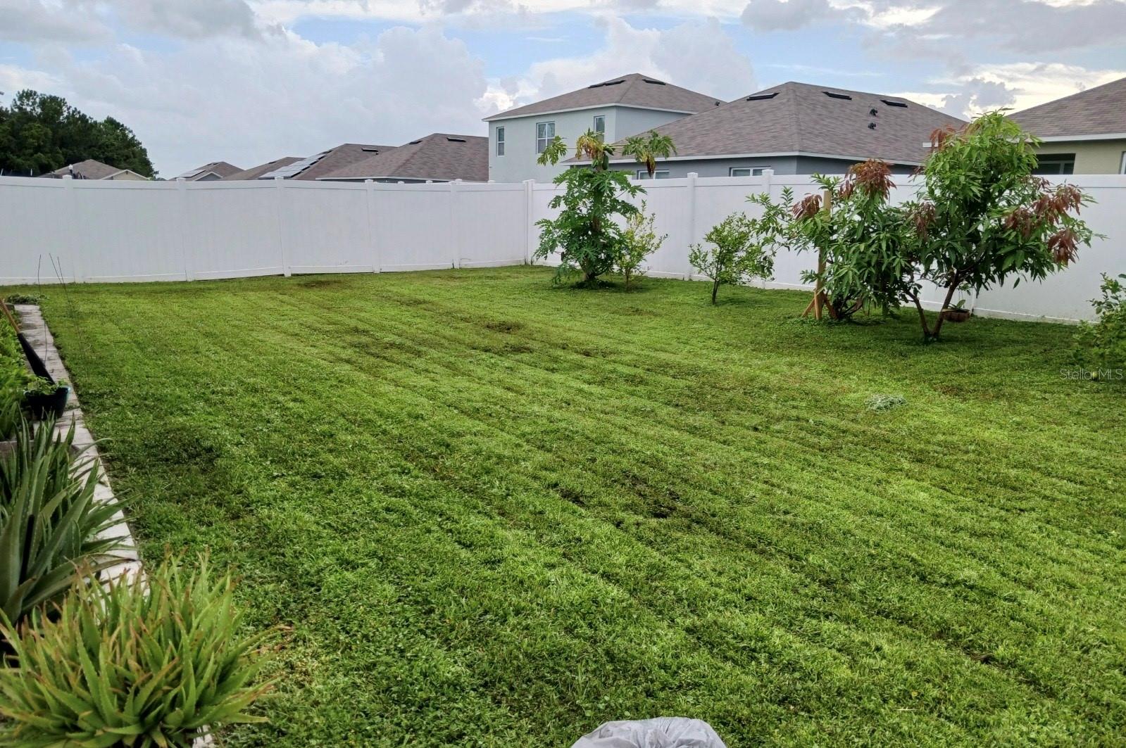 3184 ROYAL TERN DR, WINTER HAVEN, FL, 33881