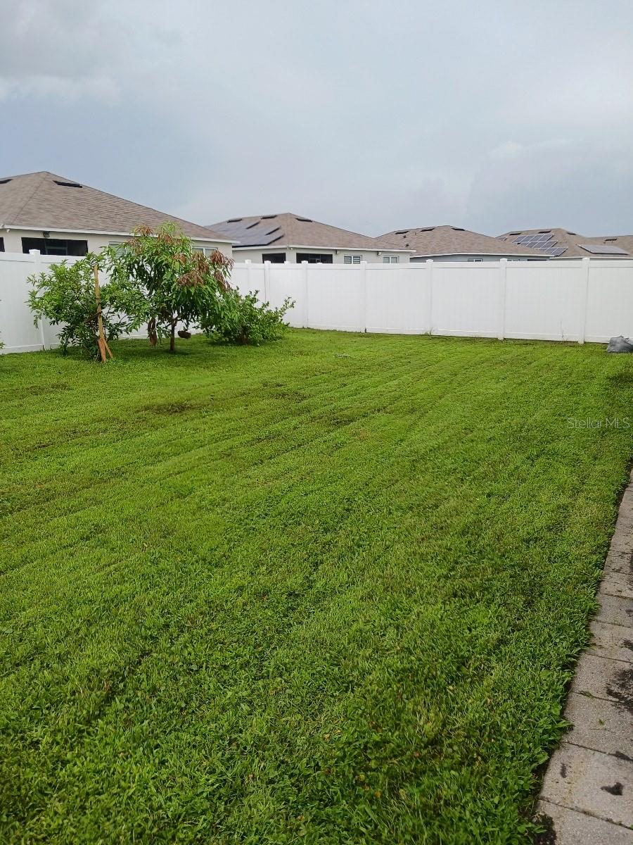 3184 ROYAL TERN DR, WINTER HAVEN, FL, 33881