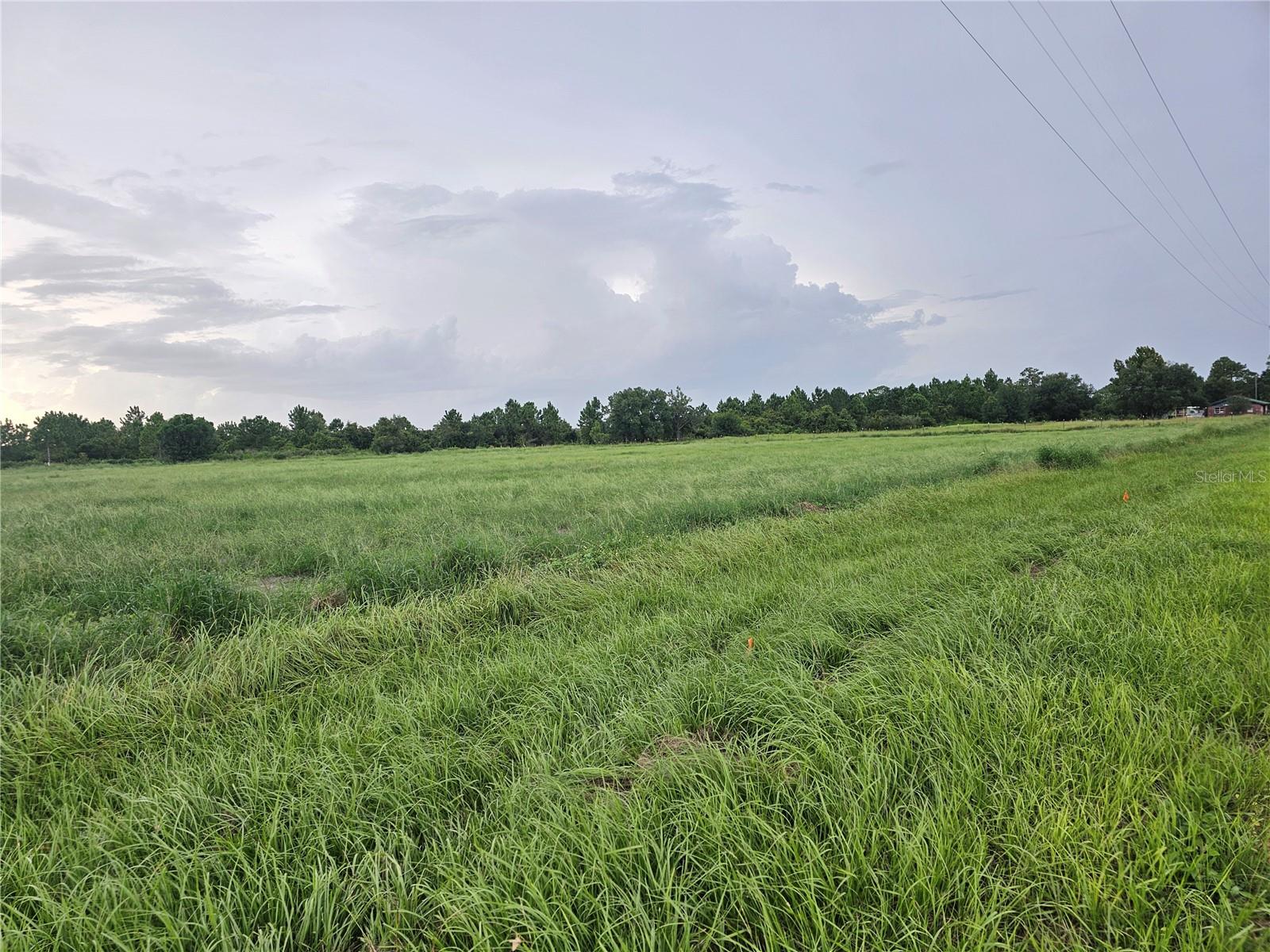837 CAMPBELL RD, FORT MEADE, FL, 33841