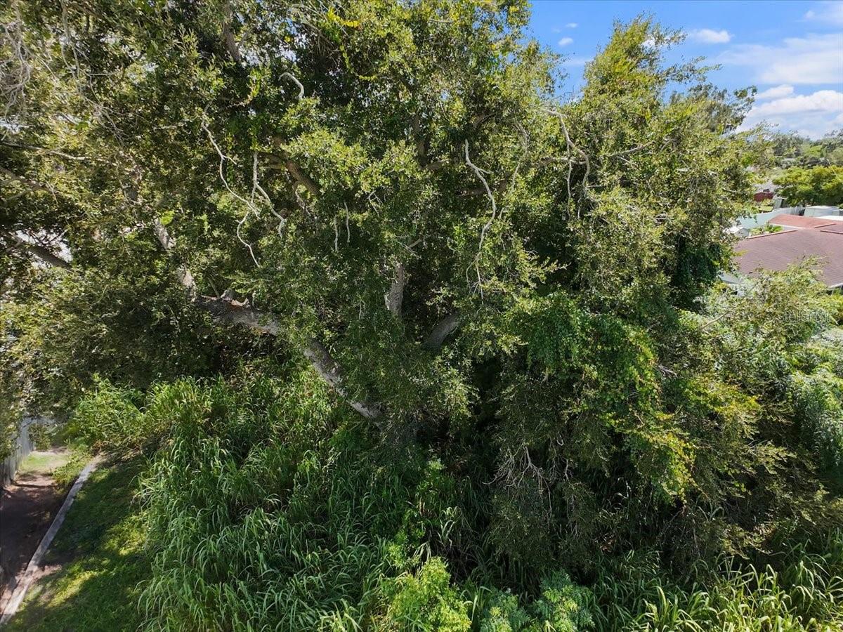 W SEMINOLE DR, VENICE, FL, 34293