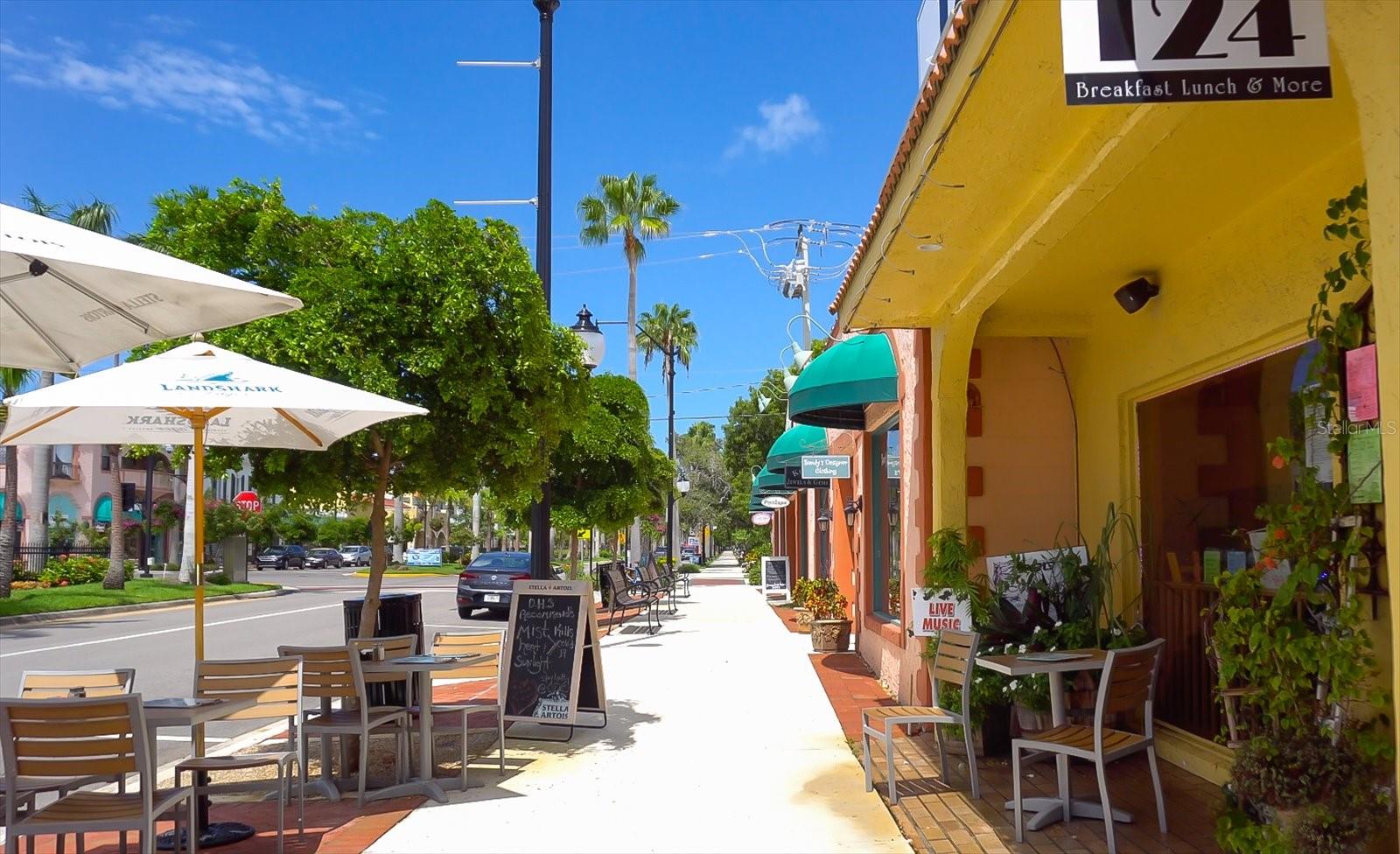 W SEMINOLE DR, VENICE, FL, 34293