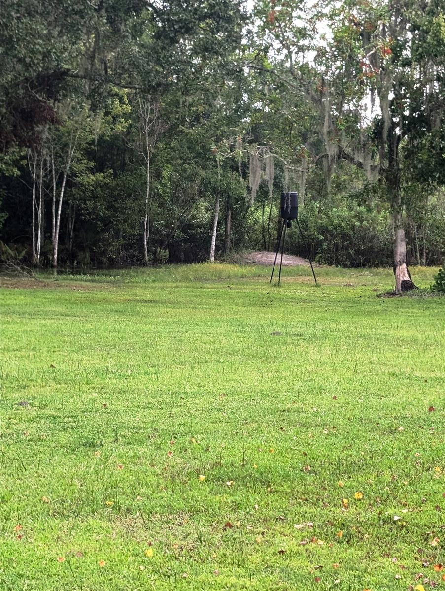 5745 POYNER RD, POLK CITY, FL, 33868
