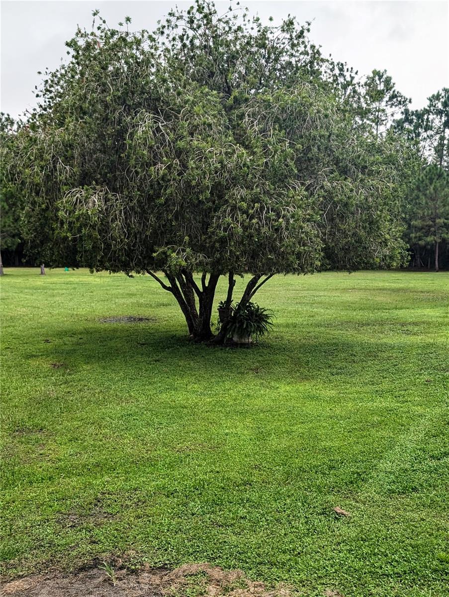 5745 POYNER RD, POLK CITY, FL, 33868