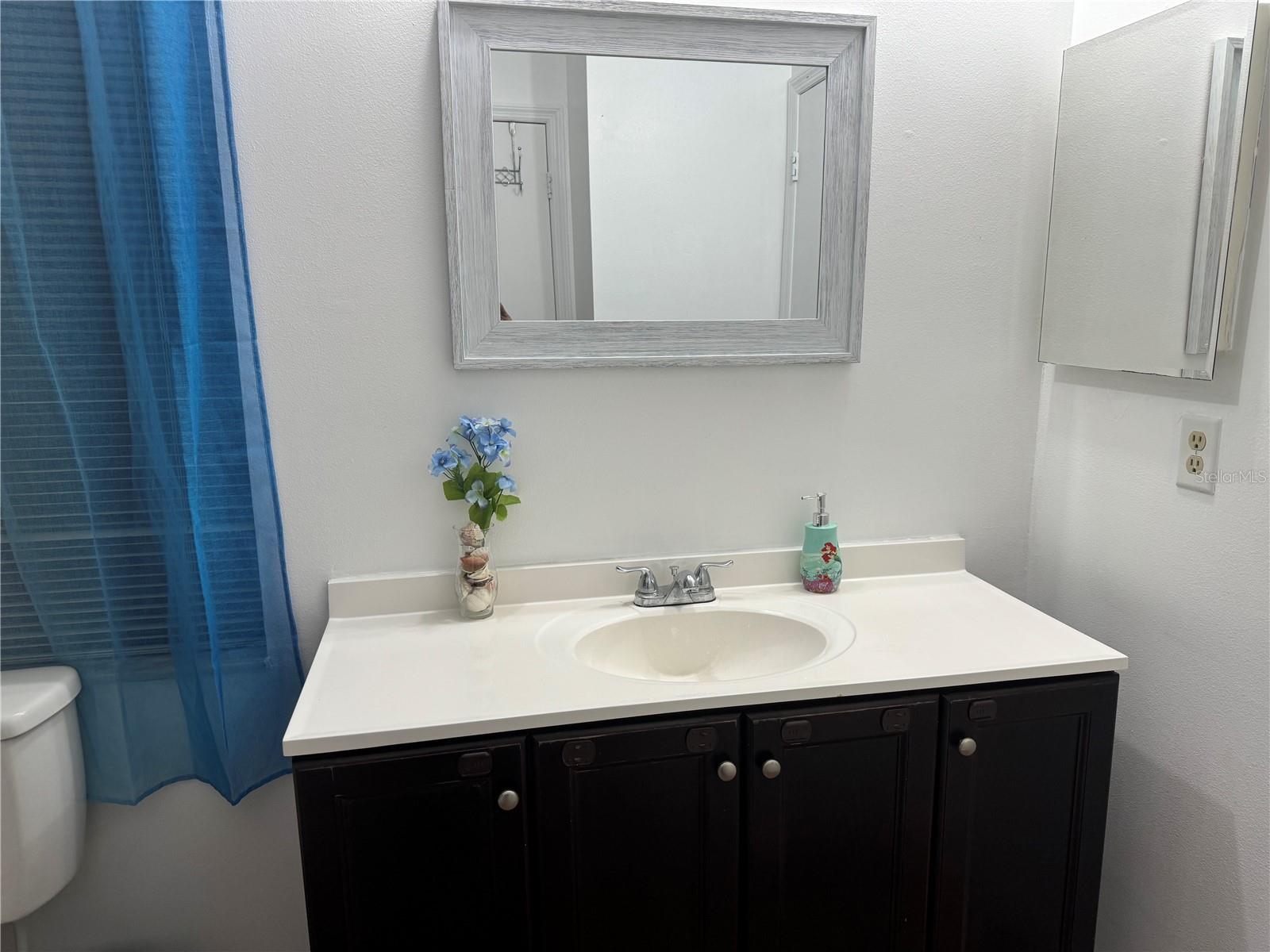 2641 WHALEBONE BAY DR, KISSIMMEE, FL, 34741