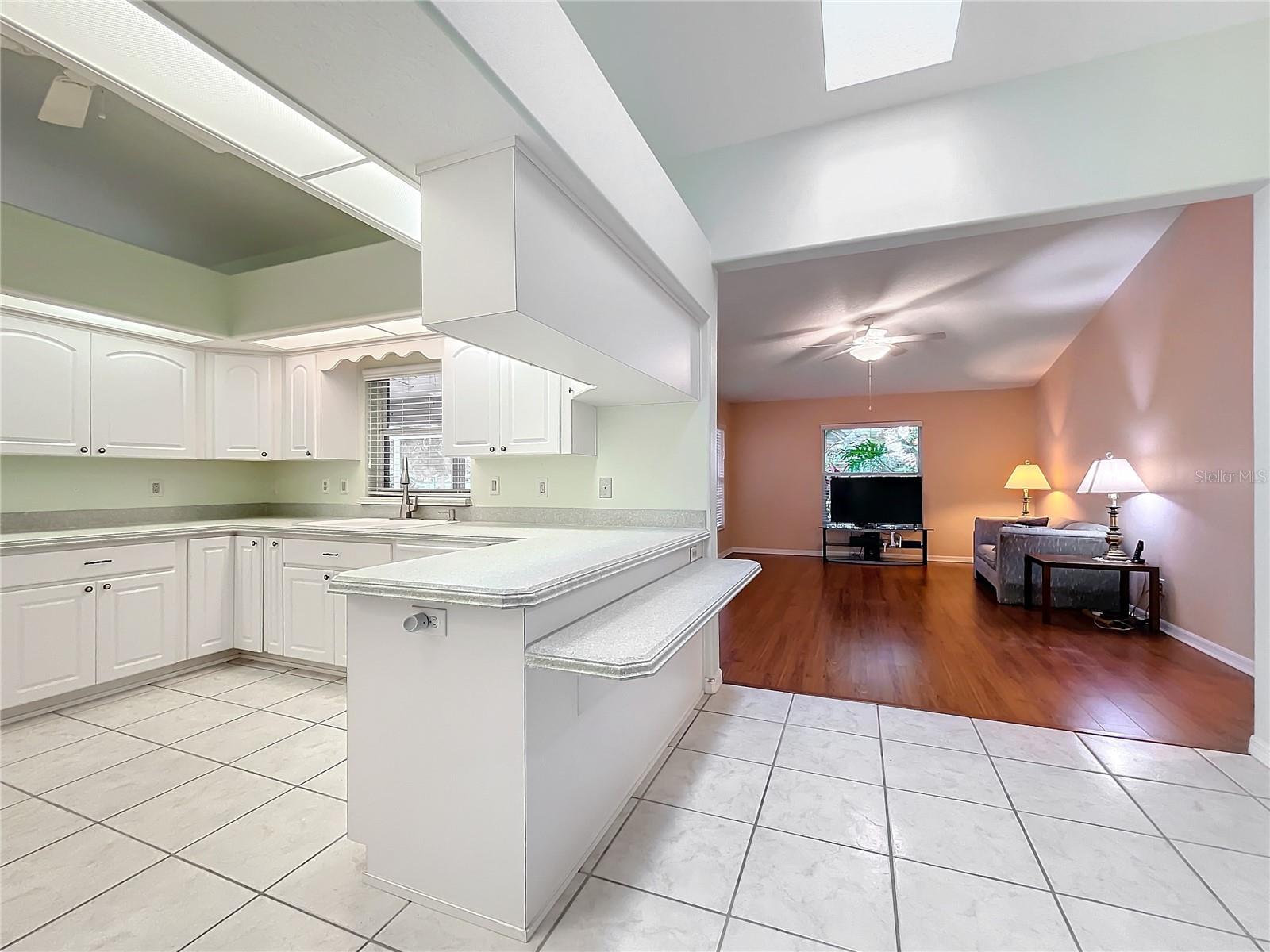 5430 SIR CHURCHILL DR, LEESBURG, FL, 34748