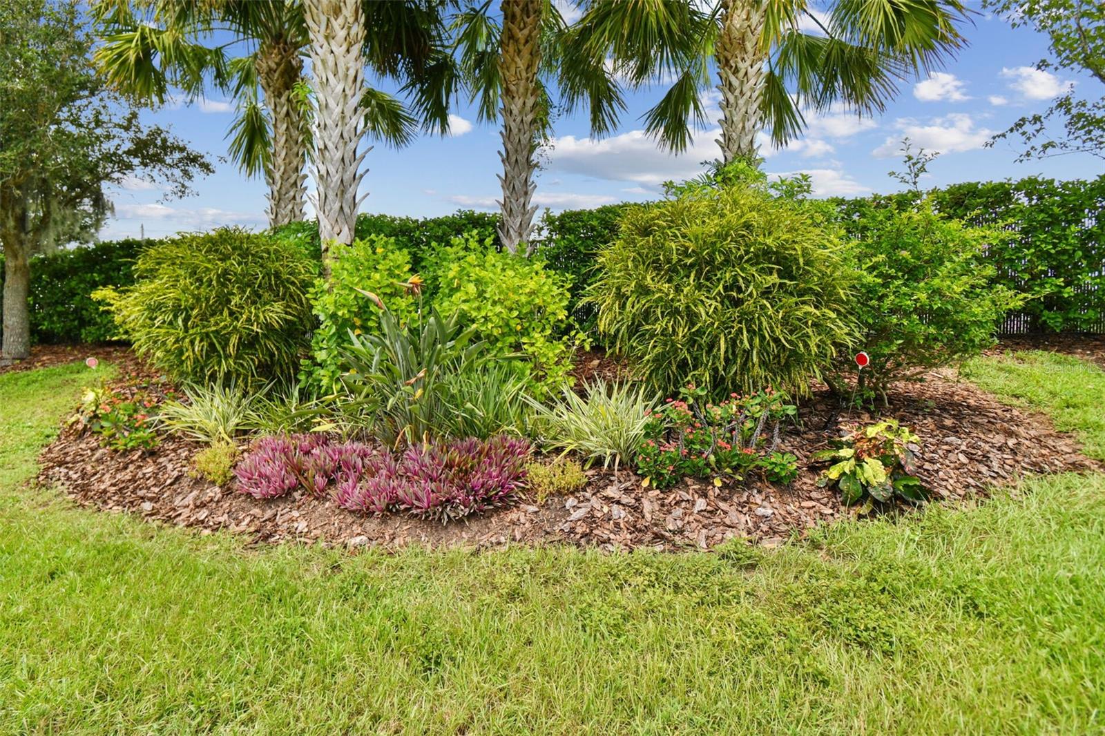 15626 AURORA LAKE CIR, WIMAUMA, FL, 33598