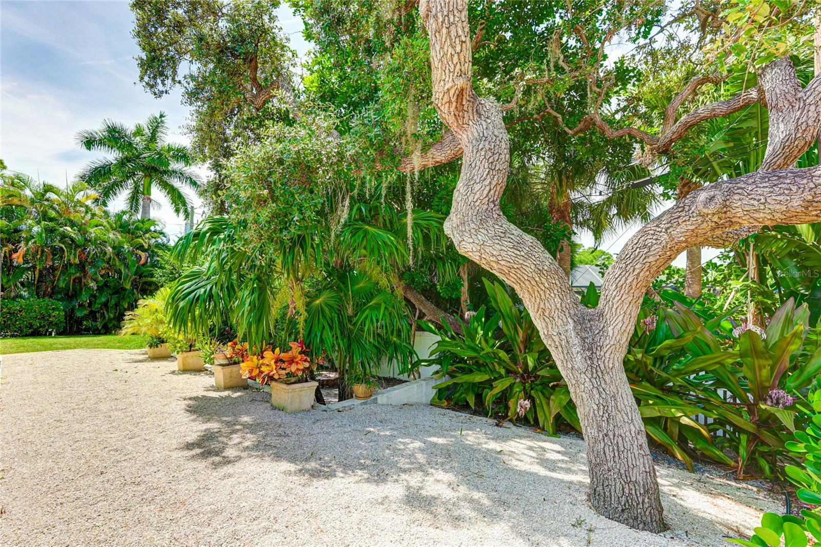 1906 HILLSDALE PL, SARASOTA, FL, 34231