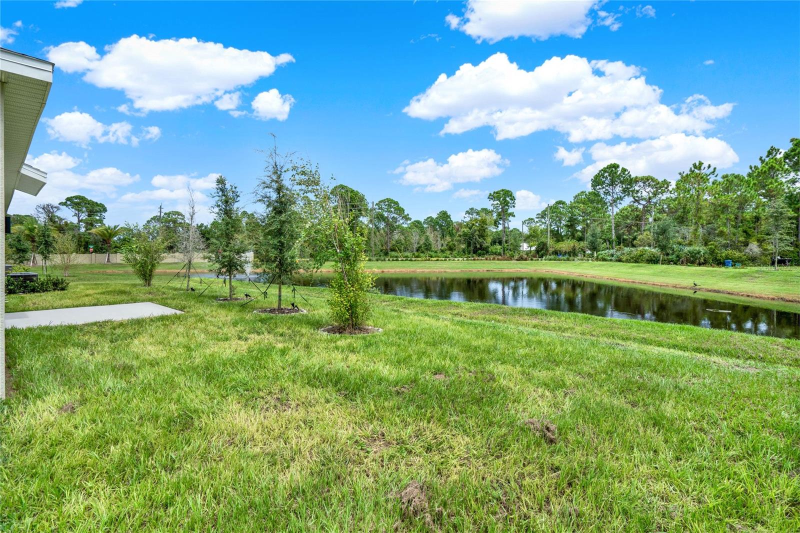 5202 HOPHORN DR, EDGEWATER, FL, 32141