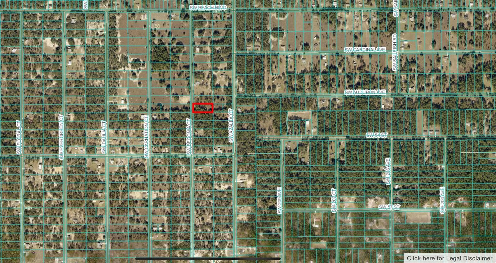 BEGONIA CT, DUNNELLON, FL, 34431
