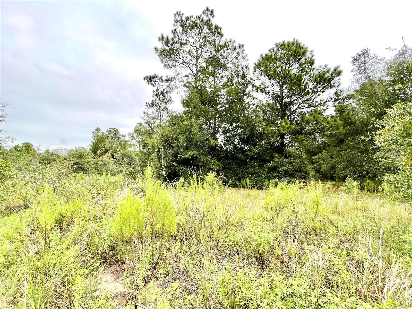 BEGONIA CT, DUNNELLON, FL, 34431