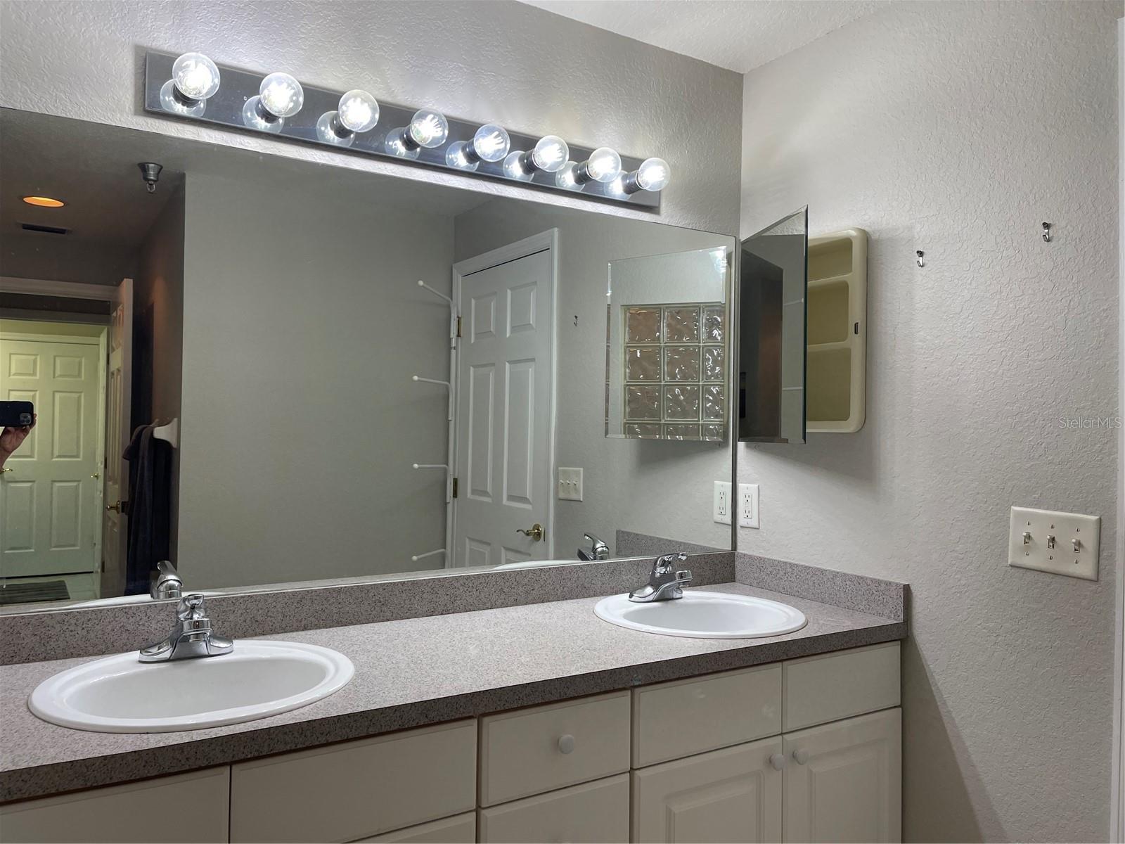 21146 FOUNTAIN VIEW LN #4302, LUTZ, FL, 33558