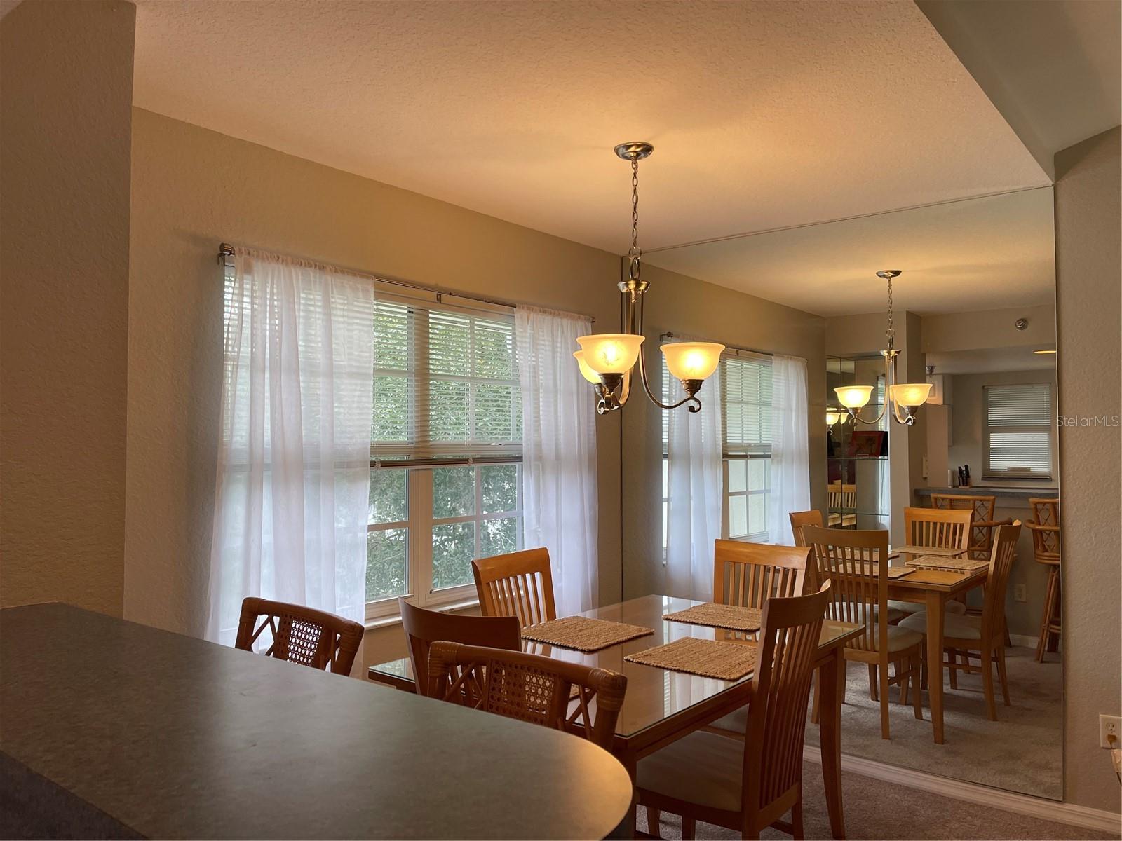 21146 FOUNTAIN VIEW LN #4302, LUTZ, FL, 33558