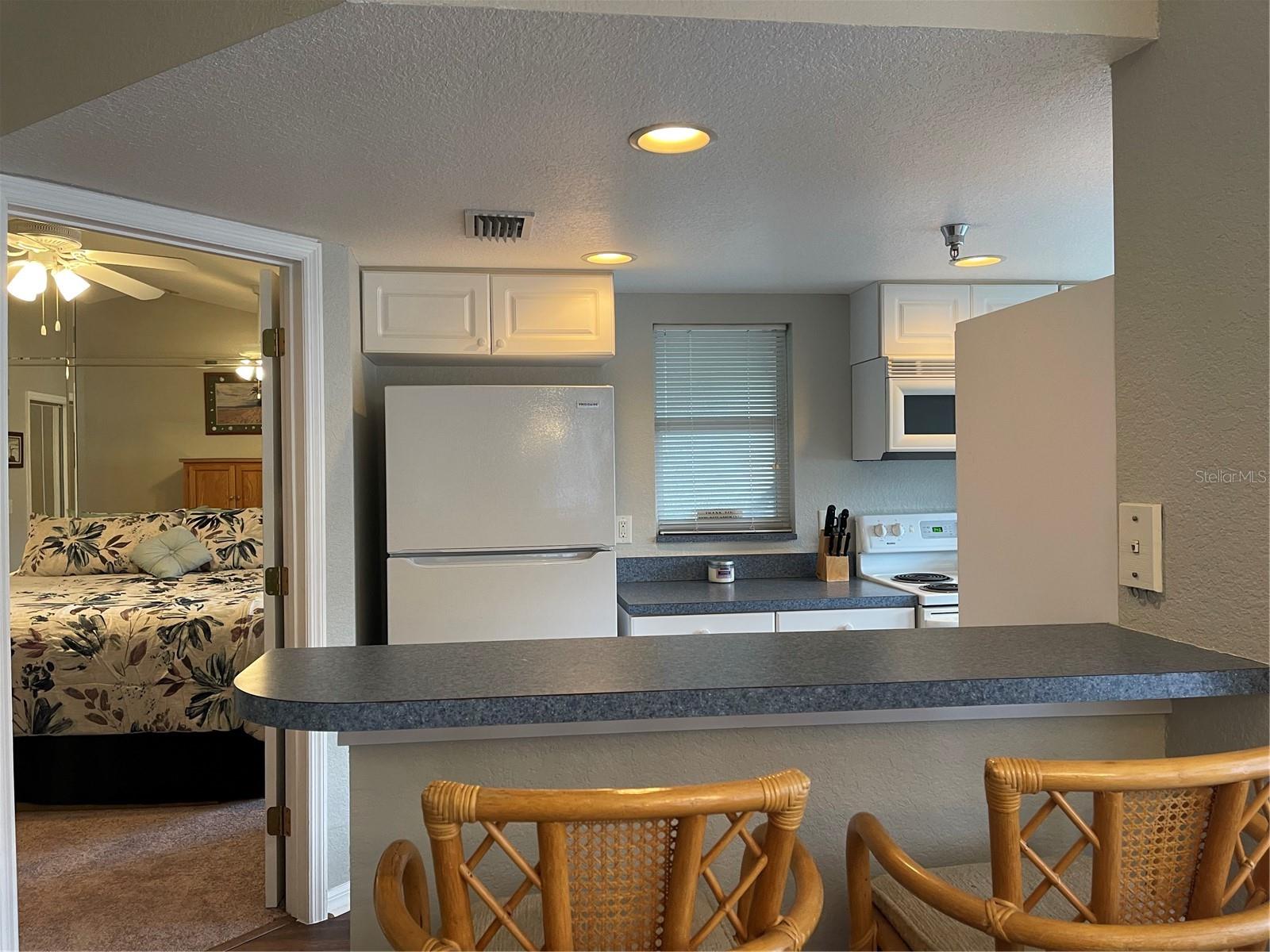 21146 FOUNTAIN VIEW LN #4302, LUTZ, FL, 33558