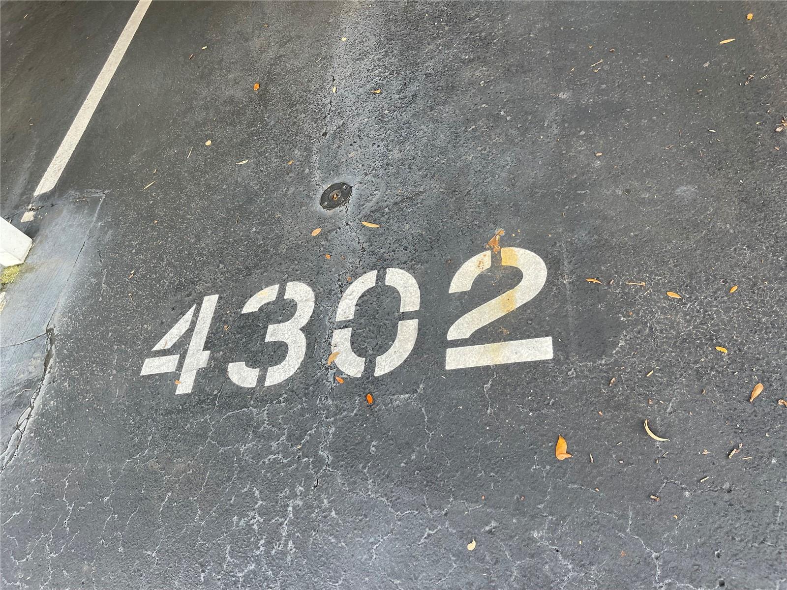 21146 FOUNTAIN VIEW LN #4302, LUTZ, FL, 33558