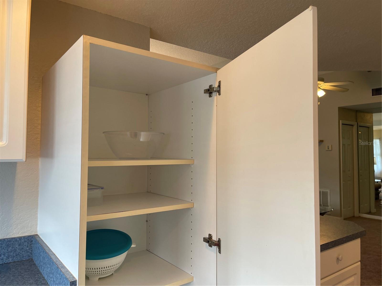 21146 FOUNTAIN VIEW LN #4302, LUTZ, FL, 33558
