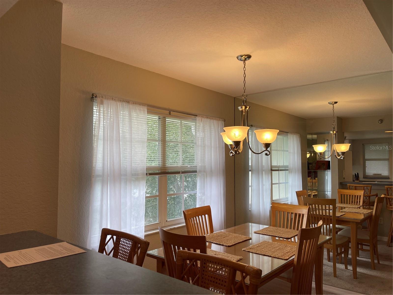 21146 FOUNTAIN VIEW LN #4302, LUTZ, FL, 33558