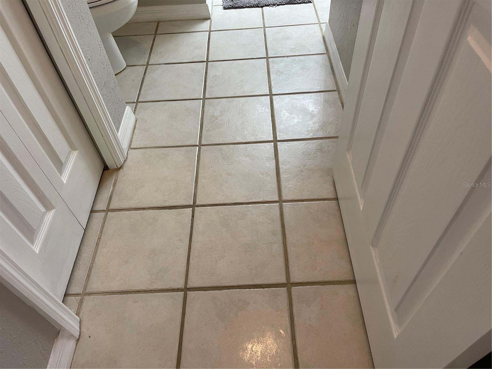 21146 FOUNTAIN VIEW LN #4302, LUTZ, FL, 33558