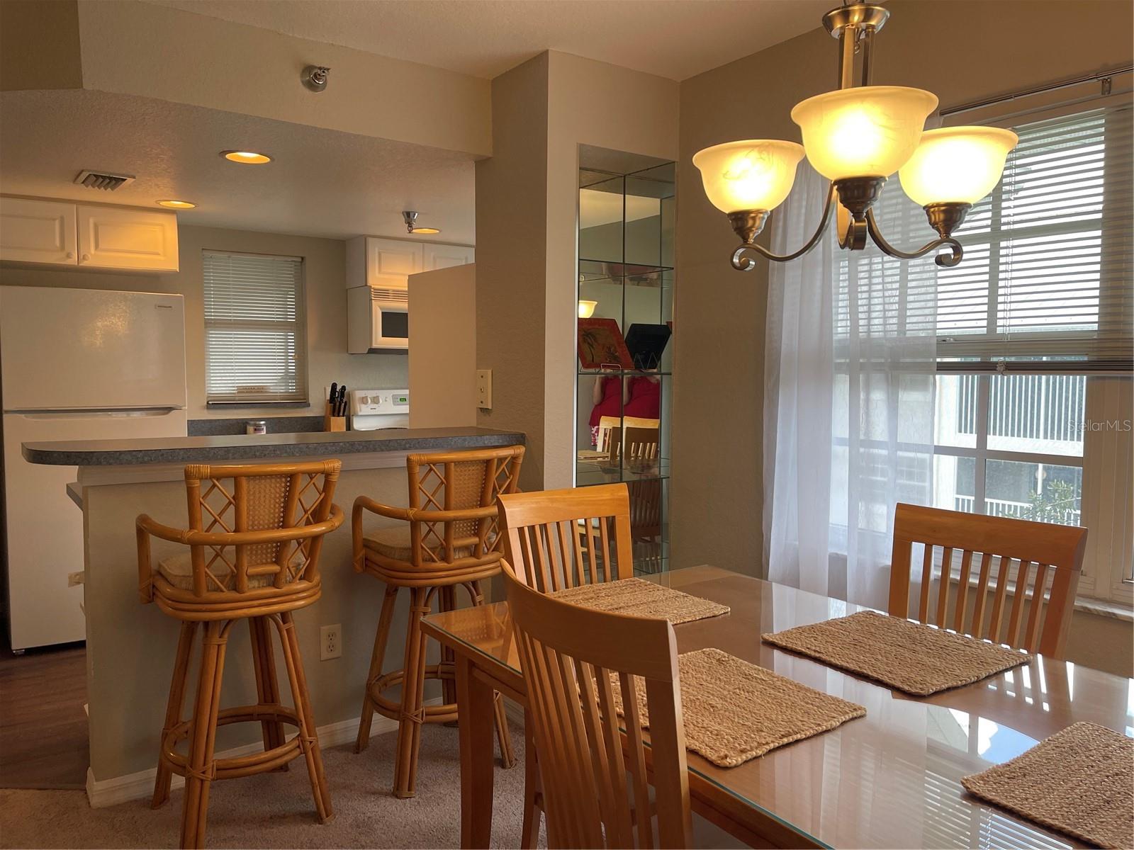 21146 FOUNTAIN VIEW LN #4302, LUTZ, FL, 33558