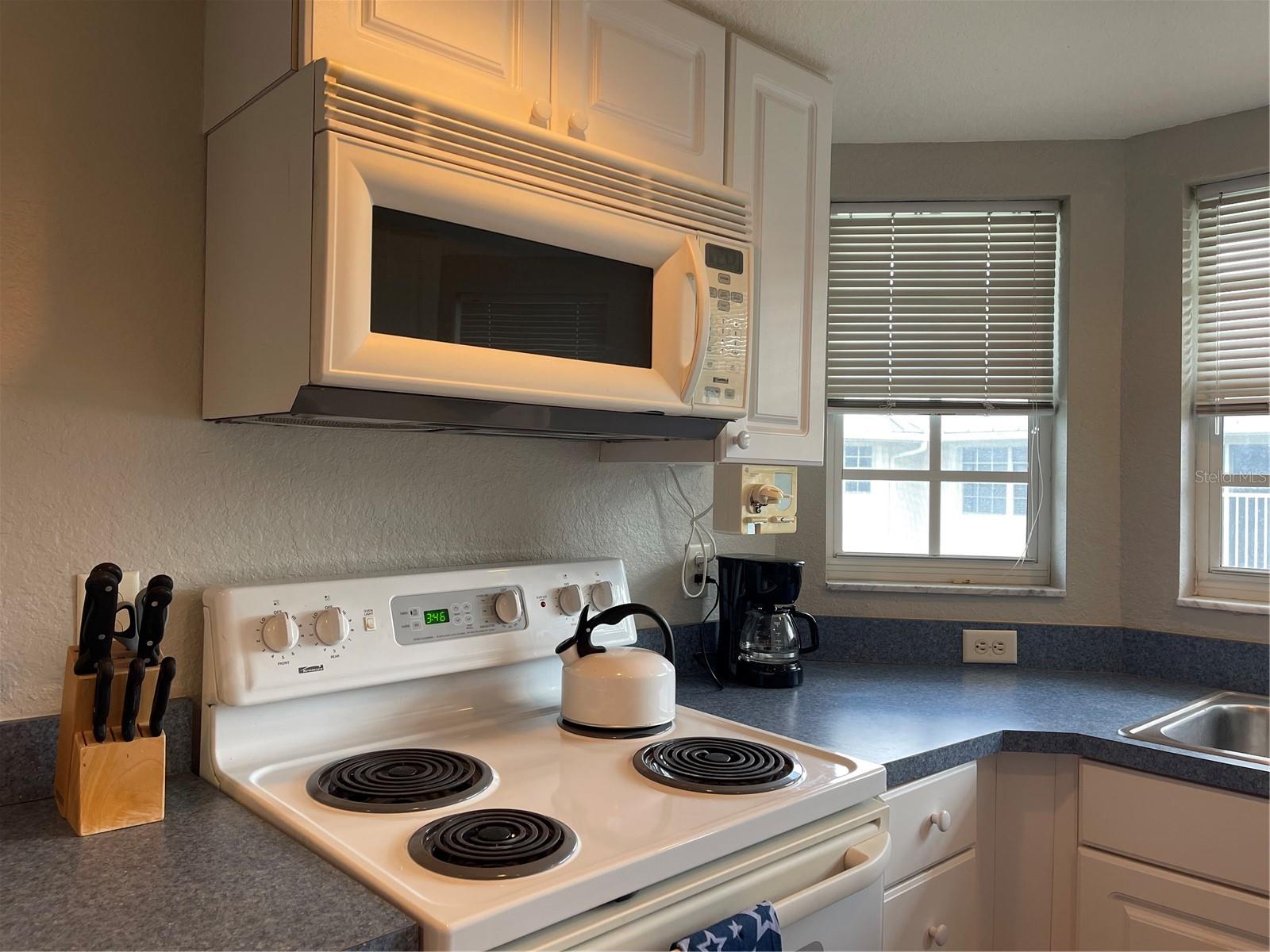 21146 FOUNTAIN VIEW LN #4302, LUTZ, FL, 33558