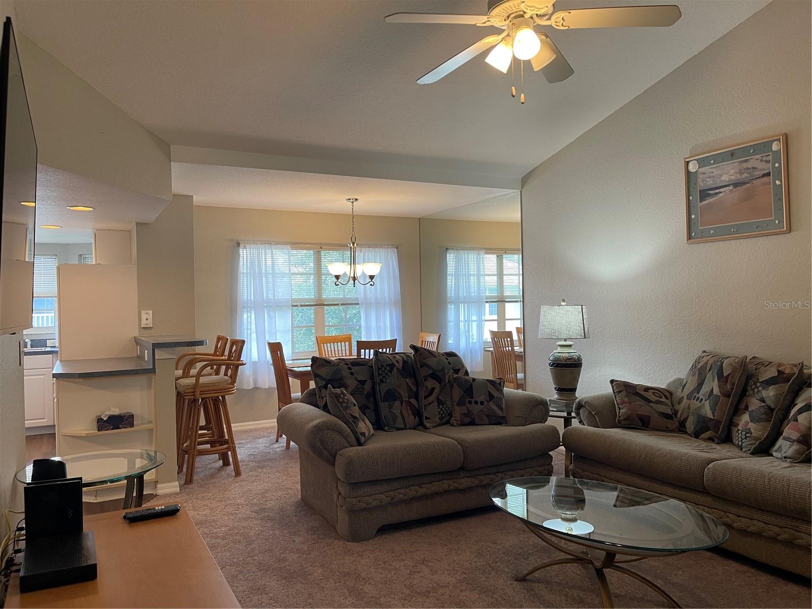 21146 FOUNTAIN VIEW LN #4302, LUTZ, FL, 33558